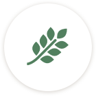 Алкозинер